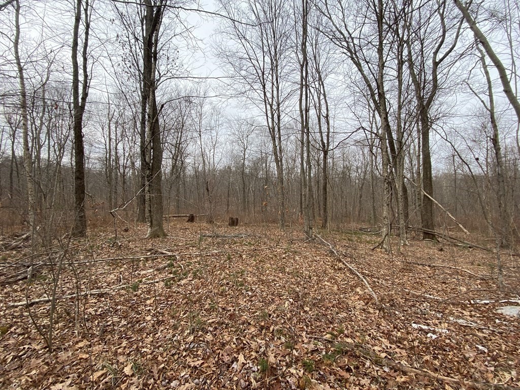 Lot 169-22 Beebe Road Monson, MA 01057 - Photo 1 of 14 Gallery Image 1