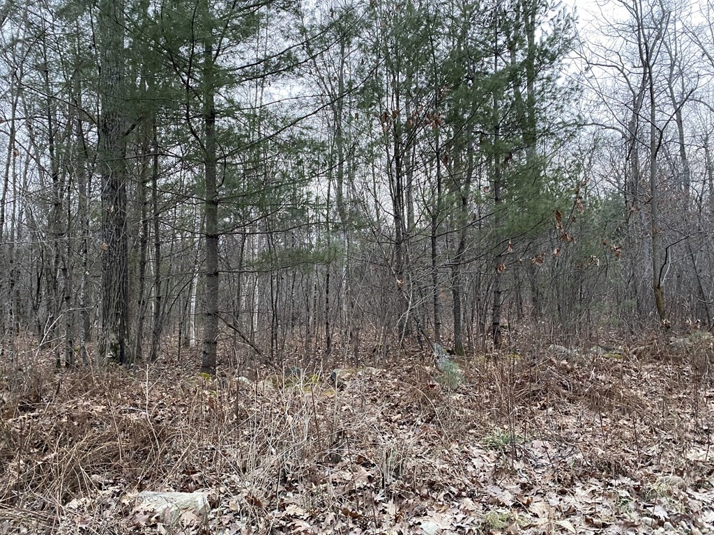 Lot 169-22 Beebe Road Monson, MA 01057 - Photo 14 of 14 Gallery Image 14