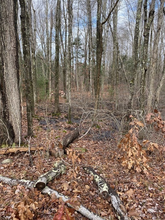 Lot 169-22 Beebe Road Monson, MA 01057 - Photo 4 of 14 Gallery Image 4