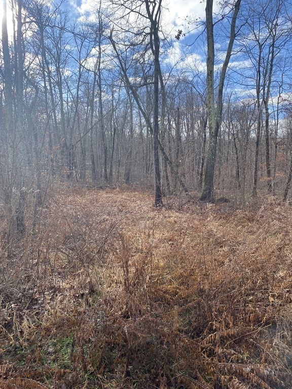 Lot 169-22 Beebe Road Monson, MA 01057 - Photo 8 of 14 Gallery Image 8