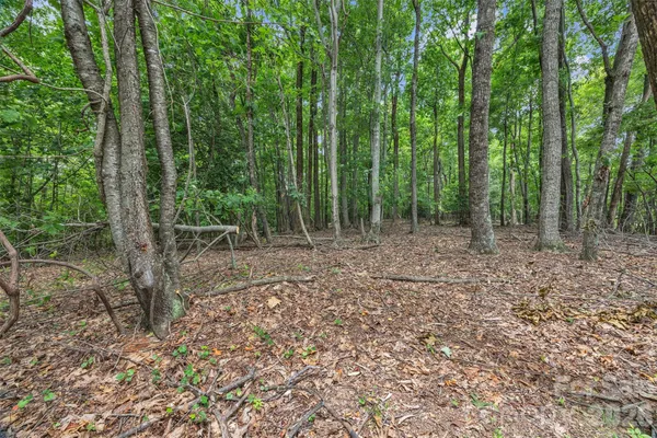 a view of outdoor space and green space