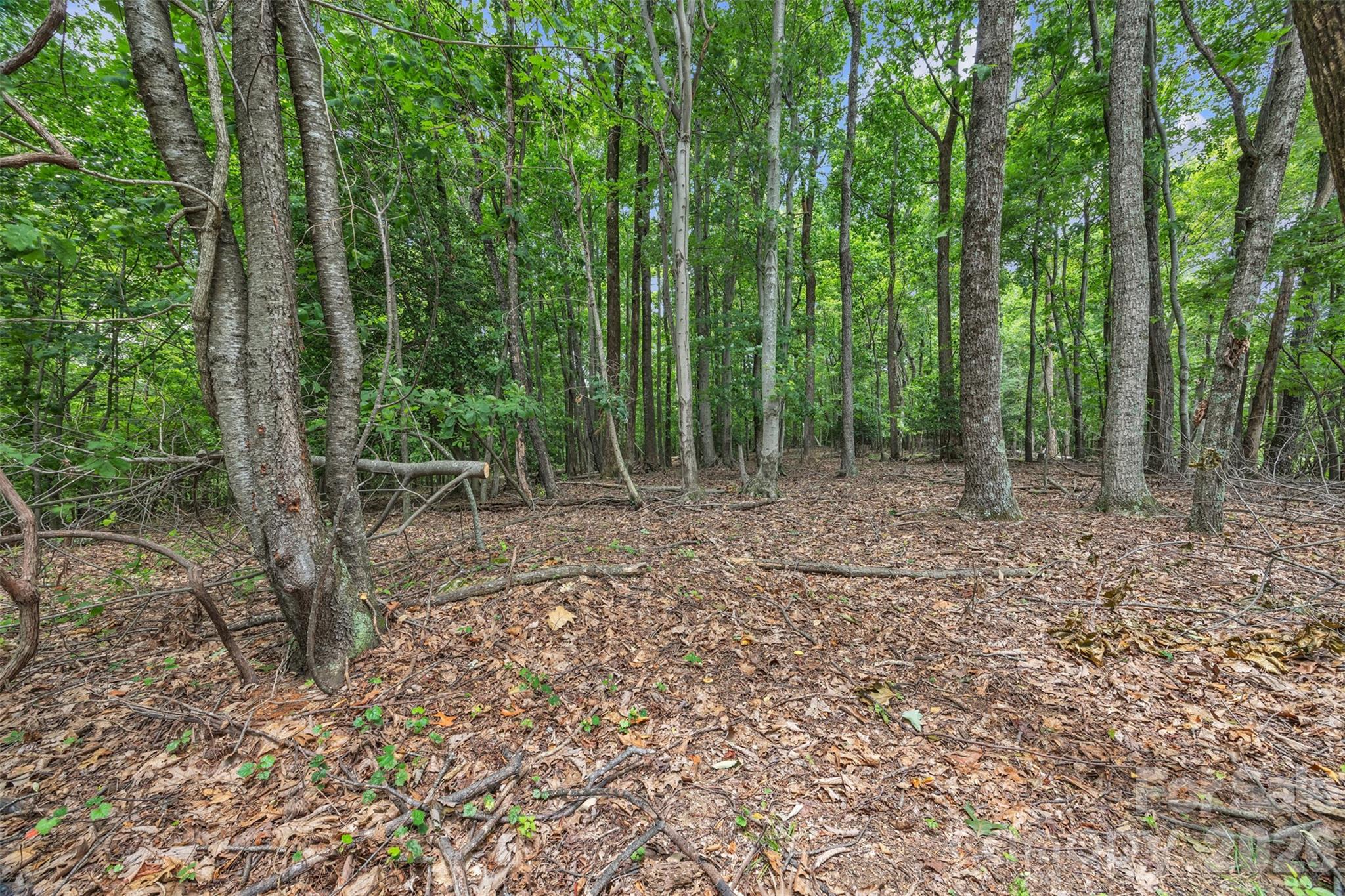 0 Pike Road Moravian Falls, NC 28654 - Photo 12 of 19 a view of outdoor space and green space