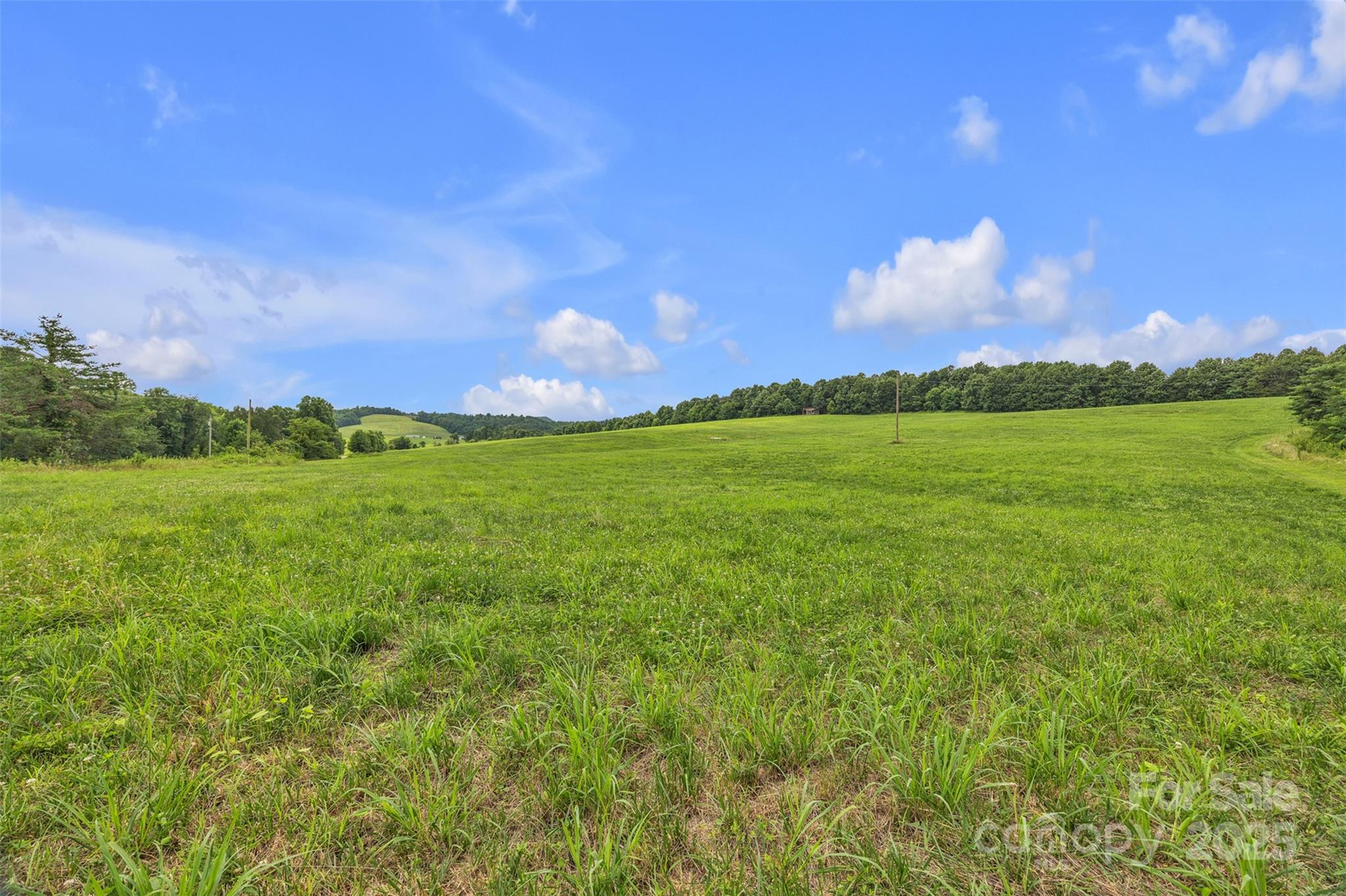 0 Pike Road Moravian Falls, NC 28654 - Photo 12 of 19