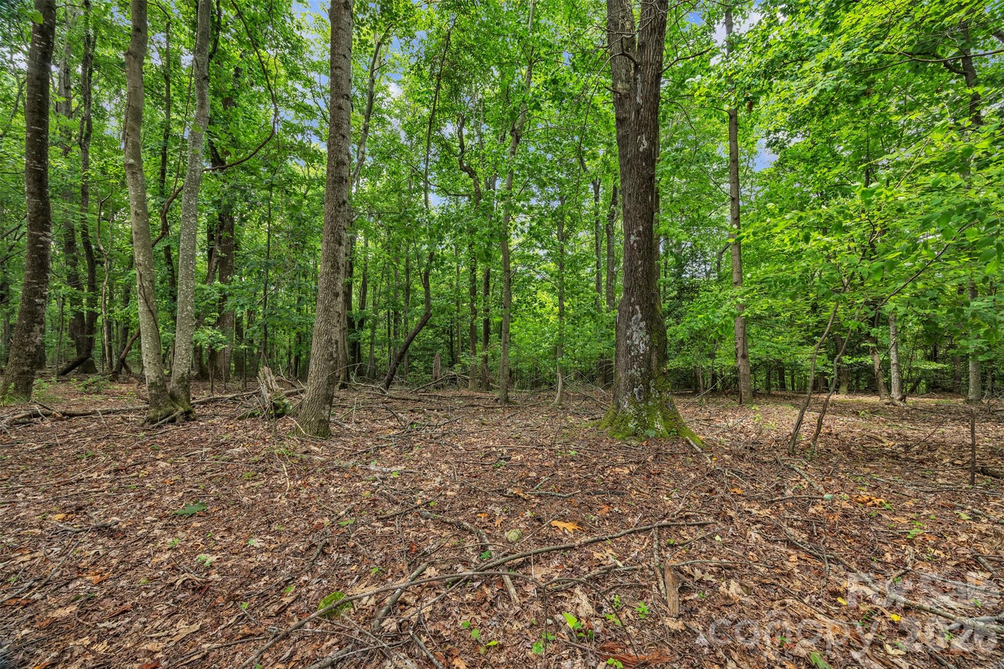 0 Pike Road Moravian Falls, NC 28654 - Photo 13 of 19 a backyard of a house with lots of green space