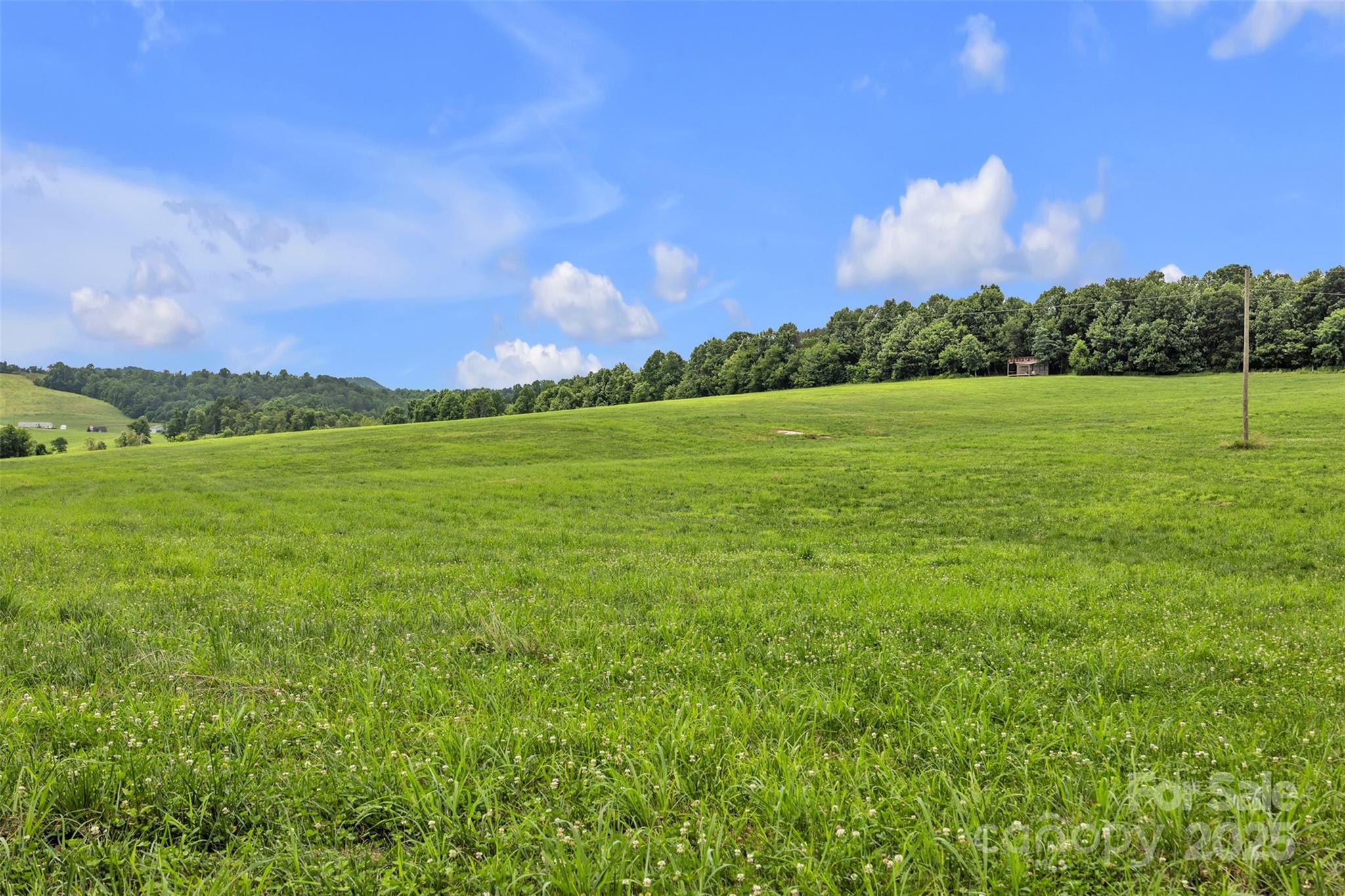 0 Pike Road Moravian Falls, NC 28654 - Photo 13 of 19 a view of outdoor space and mountain view
