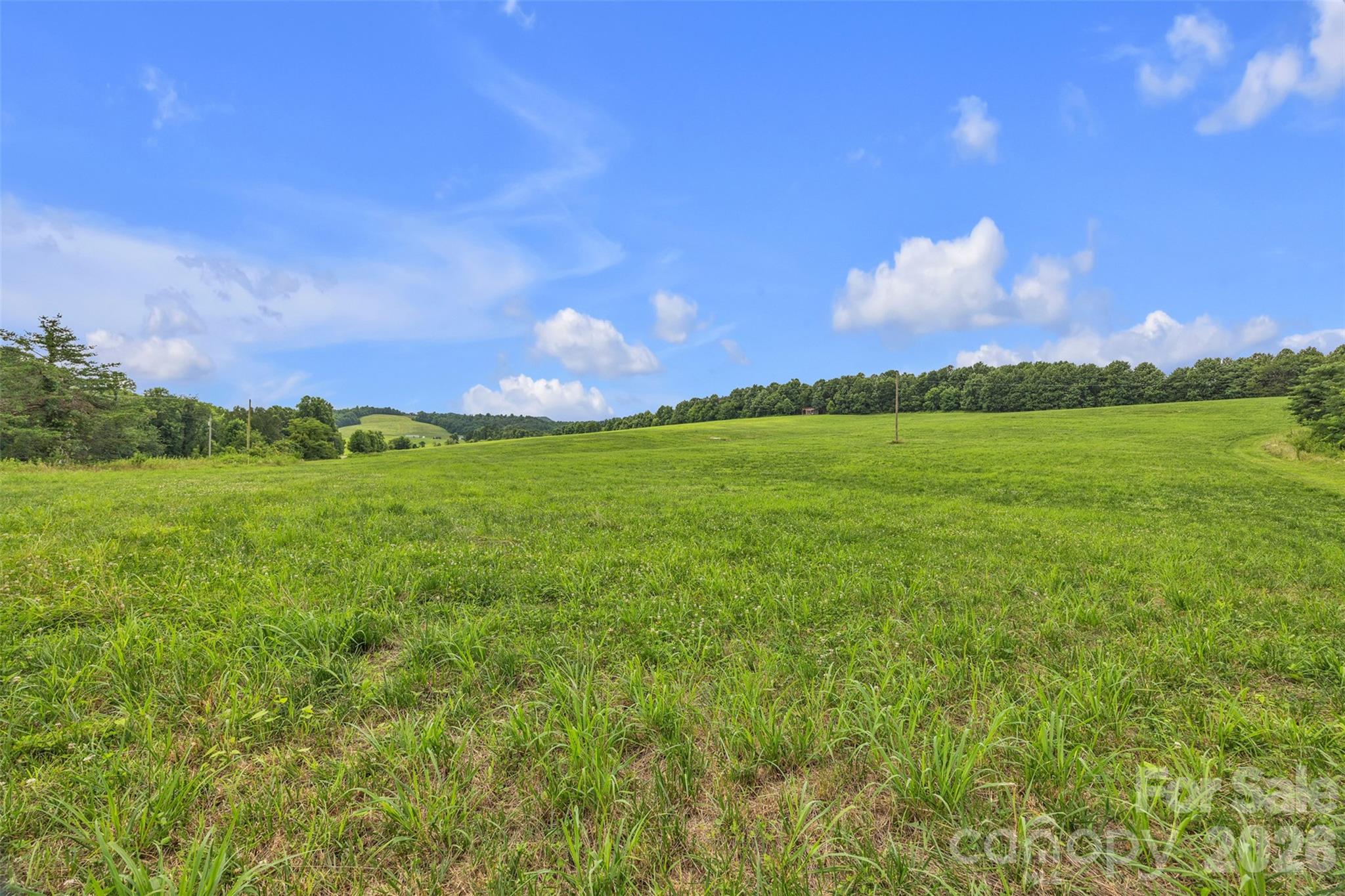 0 Pike Road Moravian Falls, NC 28654 - Photo 14 of 19