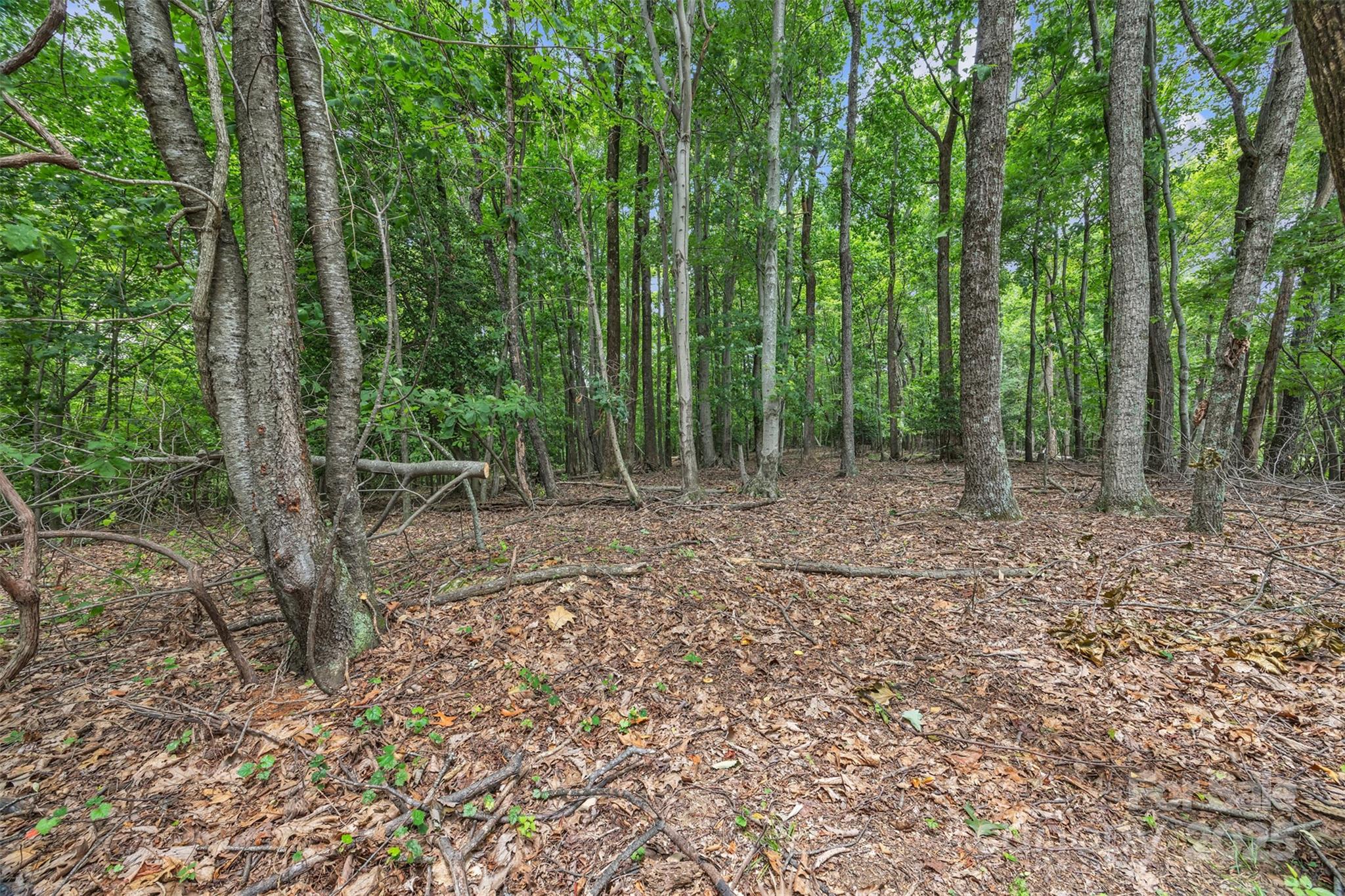 0 Pike Road Moravian Falls, NC 28654 - Photo 10 of 19 a view of outdoor space and green space
