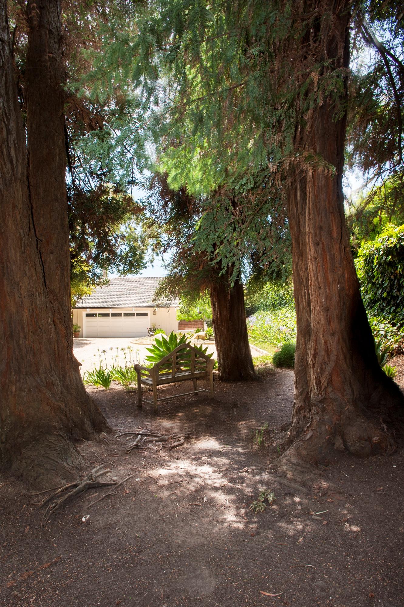 3284 Beach Club Road Carpinteria, CA 93013 - Photo 16 of 17 a view of a yard with plants and a large tree