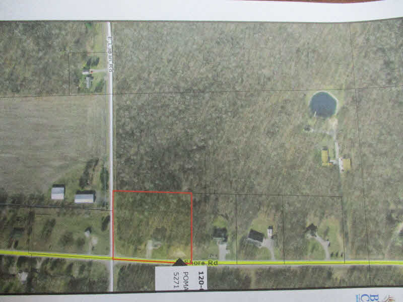 5271 North Shore Road Pinconning, MI 48650 - Photo 3 of 47