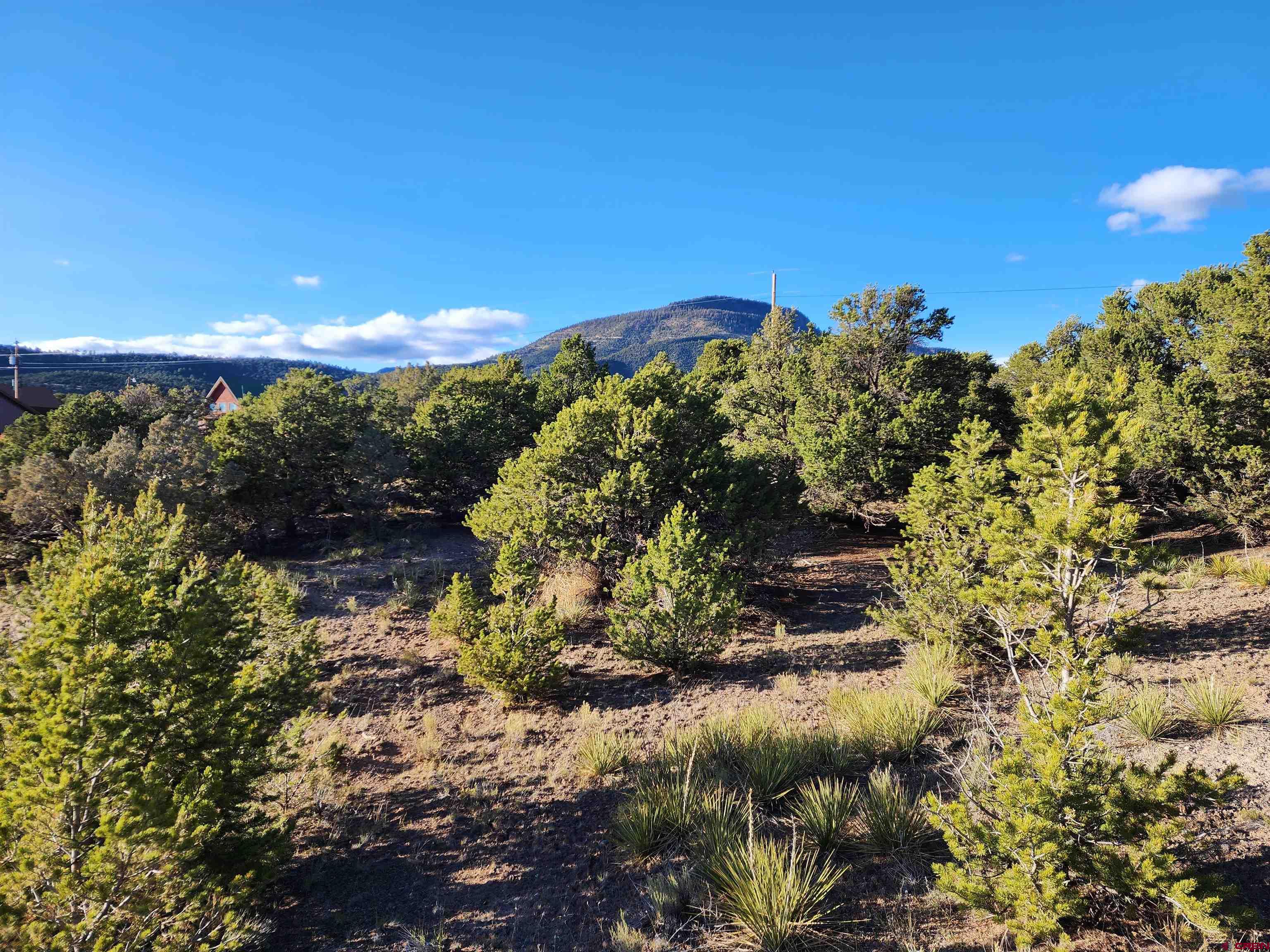 559 Orondoa Road South Fork, CO 81154 - Photo 2 of 7 a view of a city