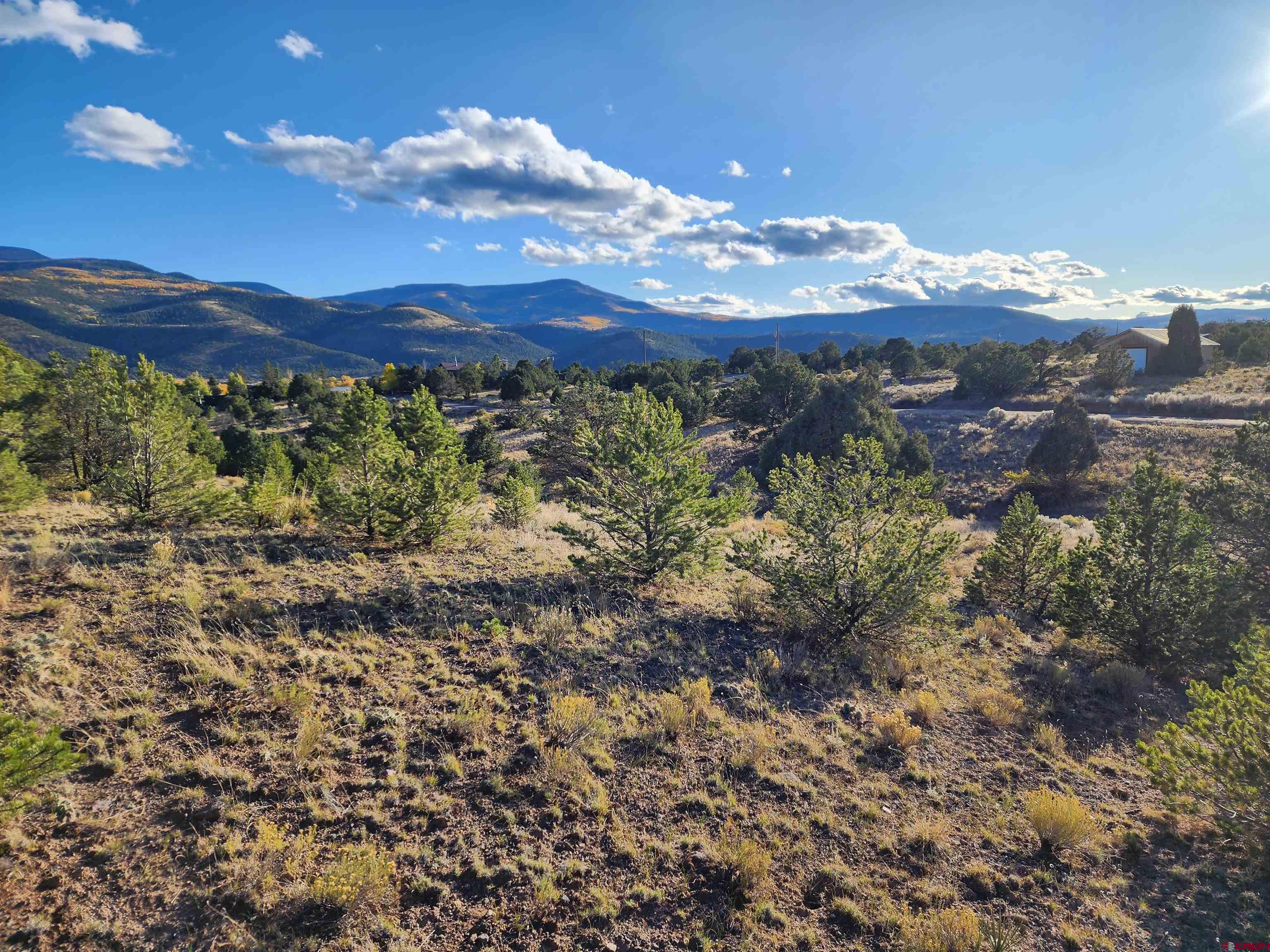 559 Orondoa Road South Fork, CO 81154 - Photo 3 of 7 a view of a lot of a house