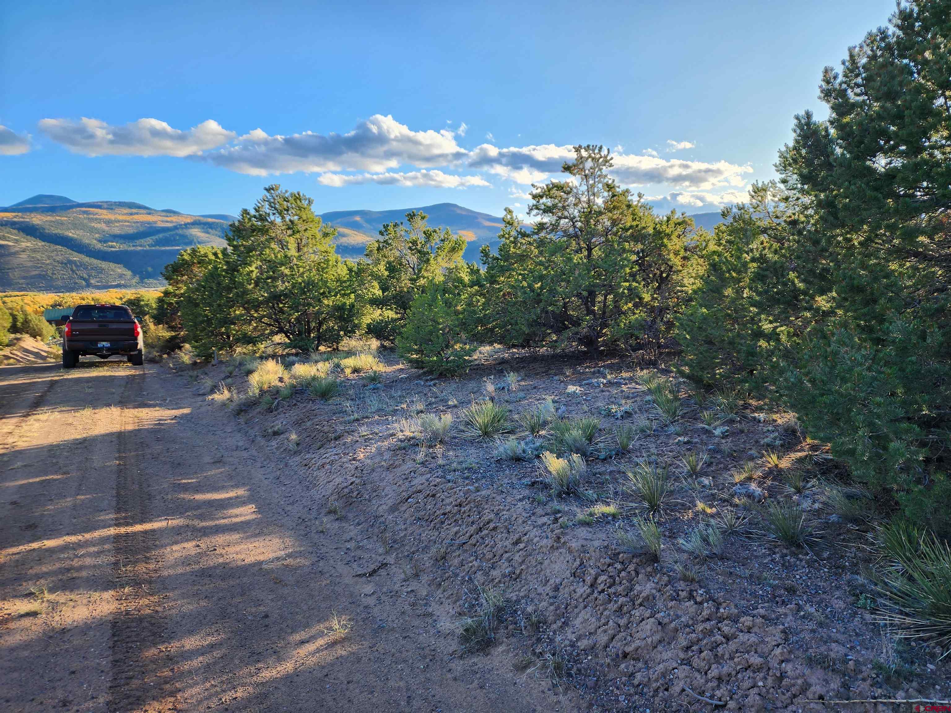 559 Orondoa Road South Fork, CO 81154 - Photo 4 of 7 a view of a yard