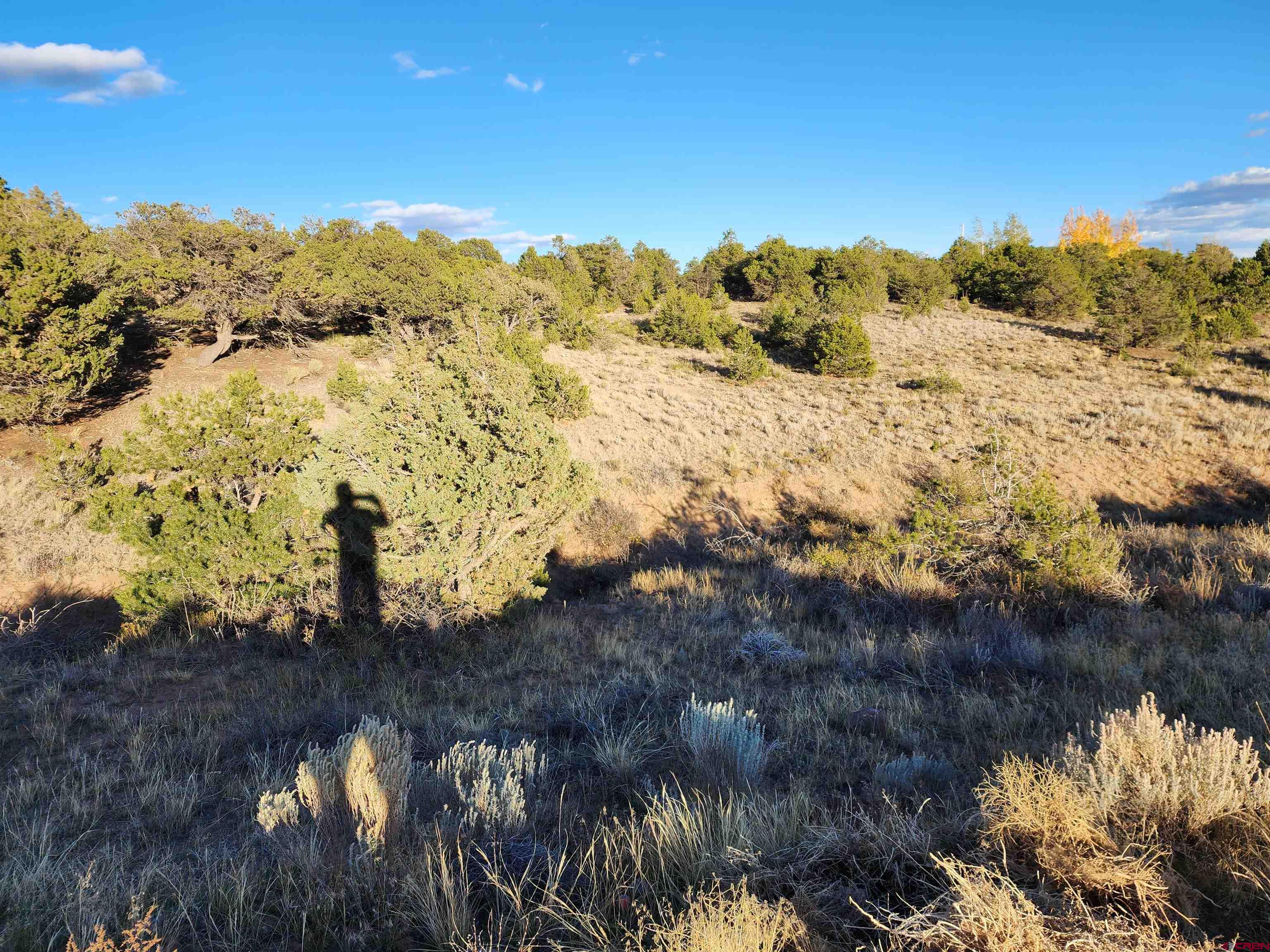 559 Orondoa Road South Fork, CO 81154 - Photo 5 of 7 a view of a houses with a lake