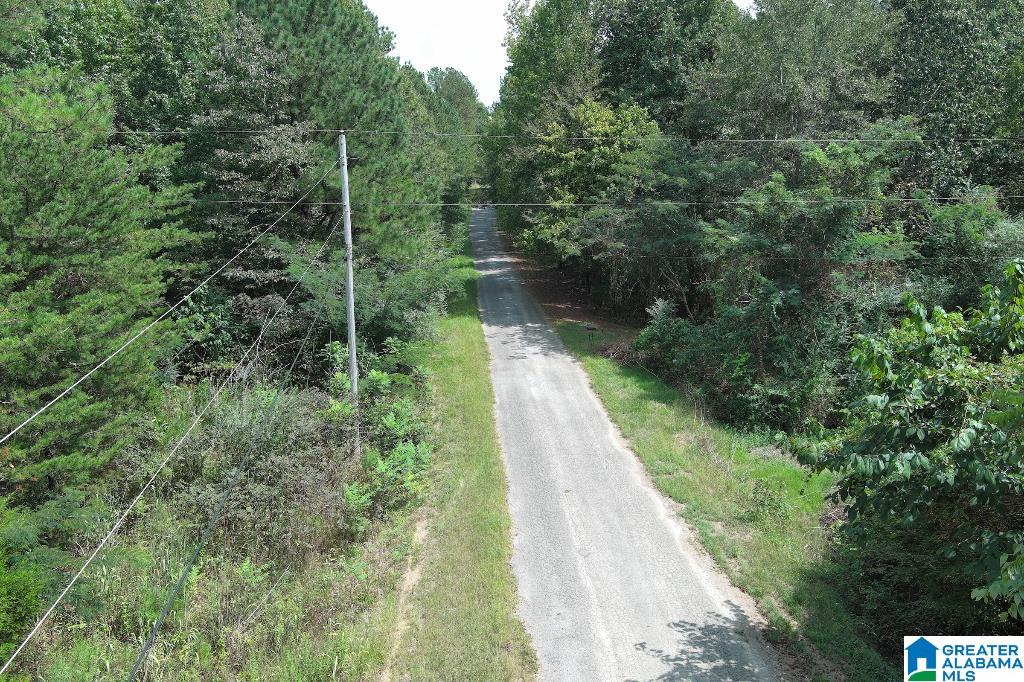 Wright Road Townley, AL 35587 - Photo 11 of 14 Gallery Image 11