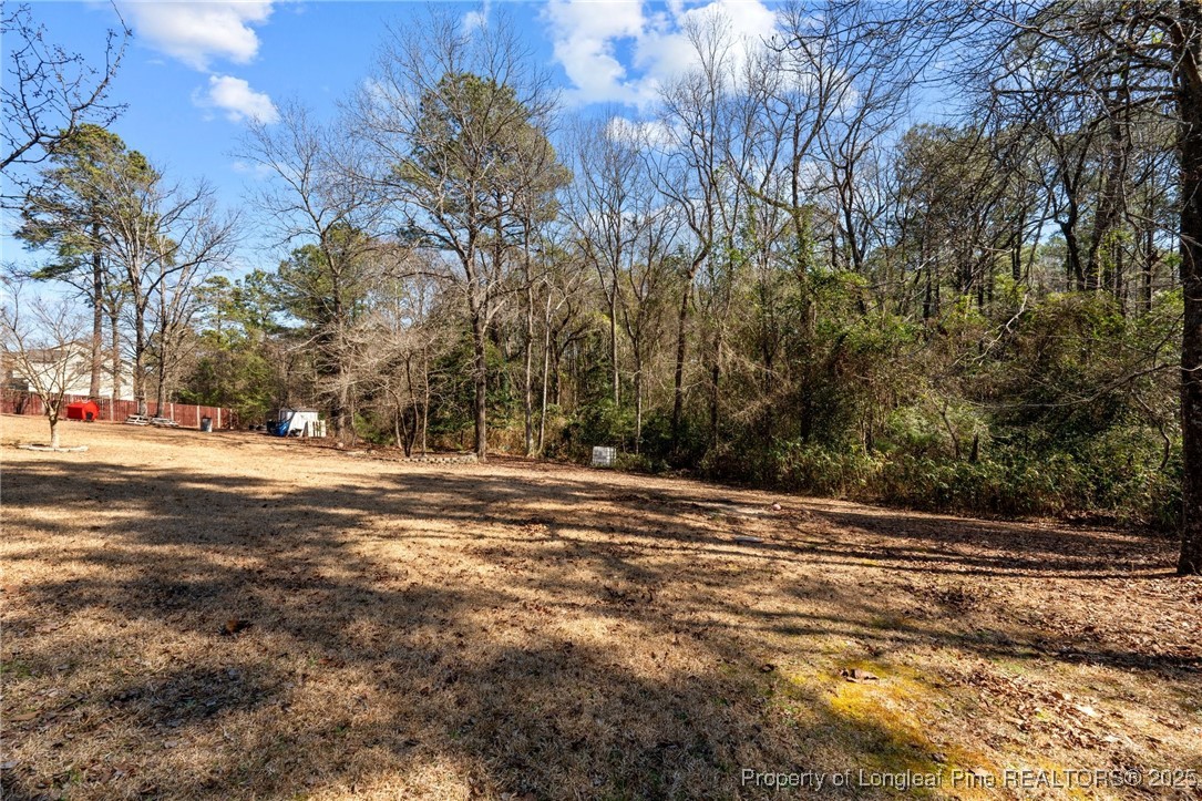 140 Cobblestone Drive Spring Lake, NC 28390 - Photo 39 of 47