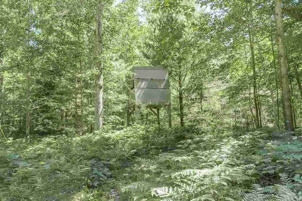 1320 Birch Ridge Road Gladwin, MI 48624 - Photo 4 of 30