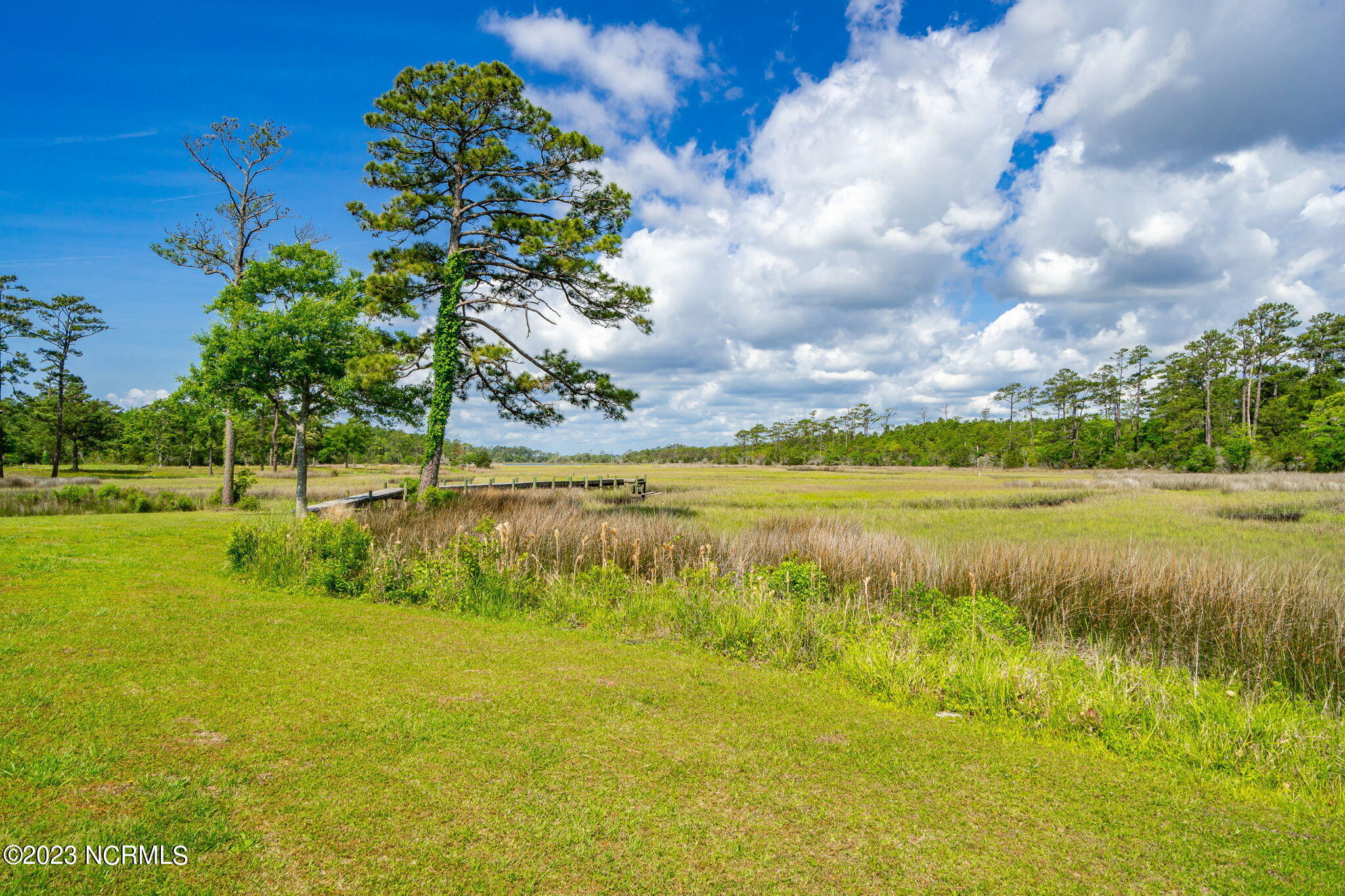 101 Sweet Grass Trail Cedar Point, NC 28584 - Photo 63 of 71 63-web-or-mls-Styron Photo-101 Sweetgras
