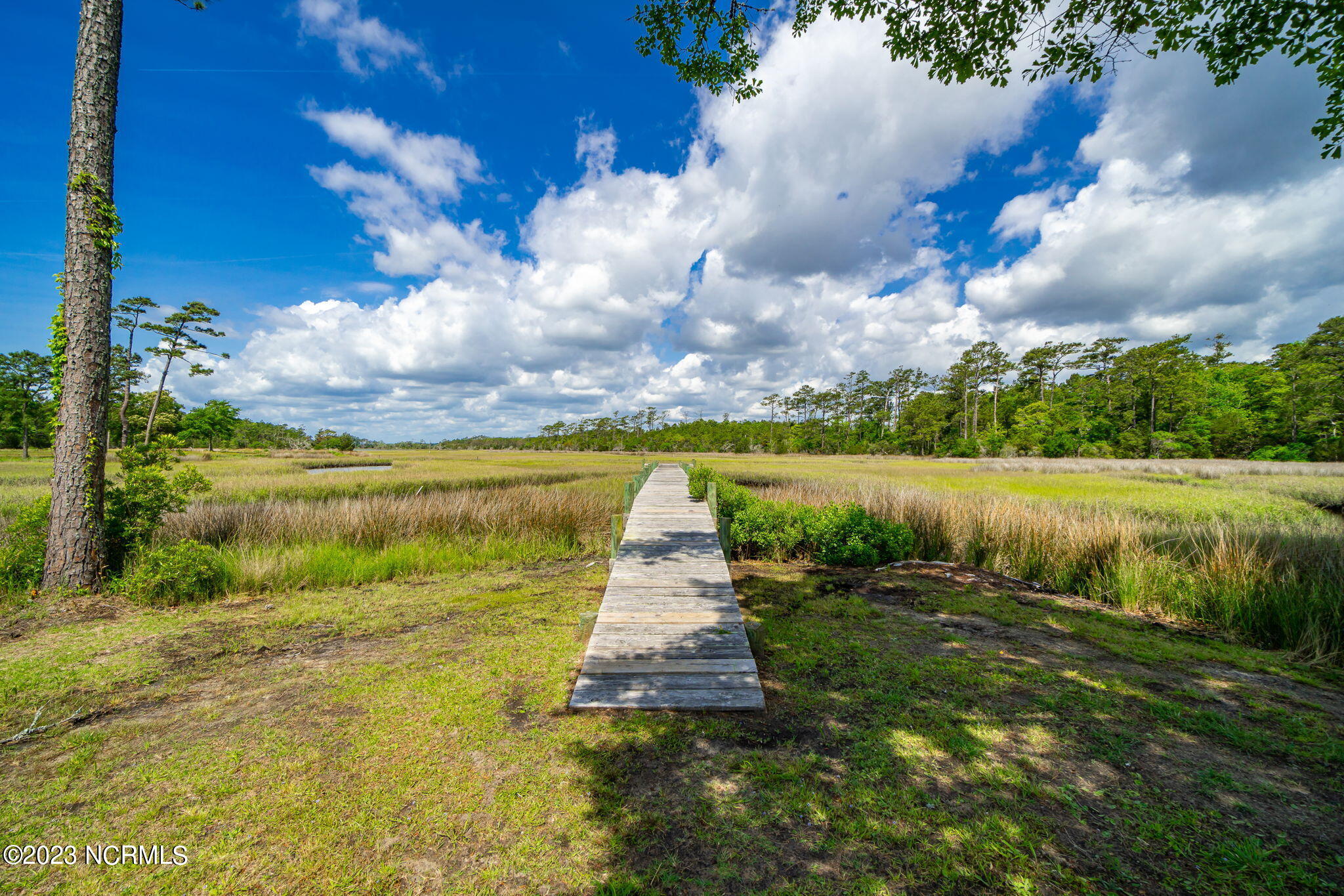 101 Sweet Grass Trail Cedar Point, NC 28584 - Photo 64 of 71 64-web-or-mls-Styron Photo-101 Sweetgras