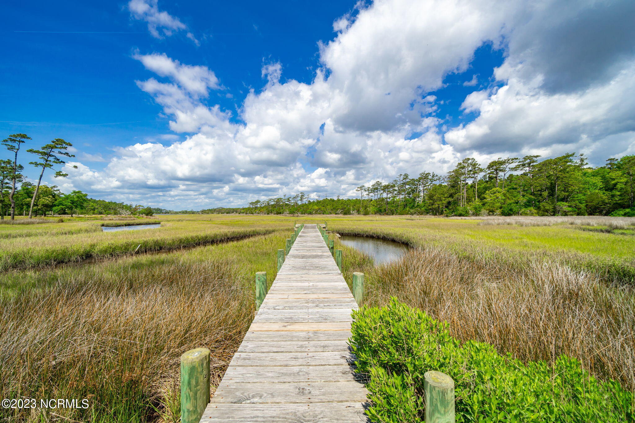 101 Sweet Grass Trail Cedar Point, NC 28584 - Photo 65 of 71 65-web-or-mls-Styron Photo-101 Sweetgras