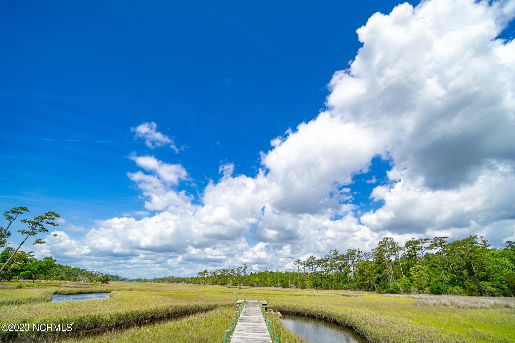 101 Sweet Grass Trail Cedar Point, NC 28584 - Photo 66 of 71 66-web-or-mls-Styron Photo-101 Sweetgras