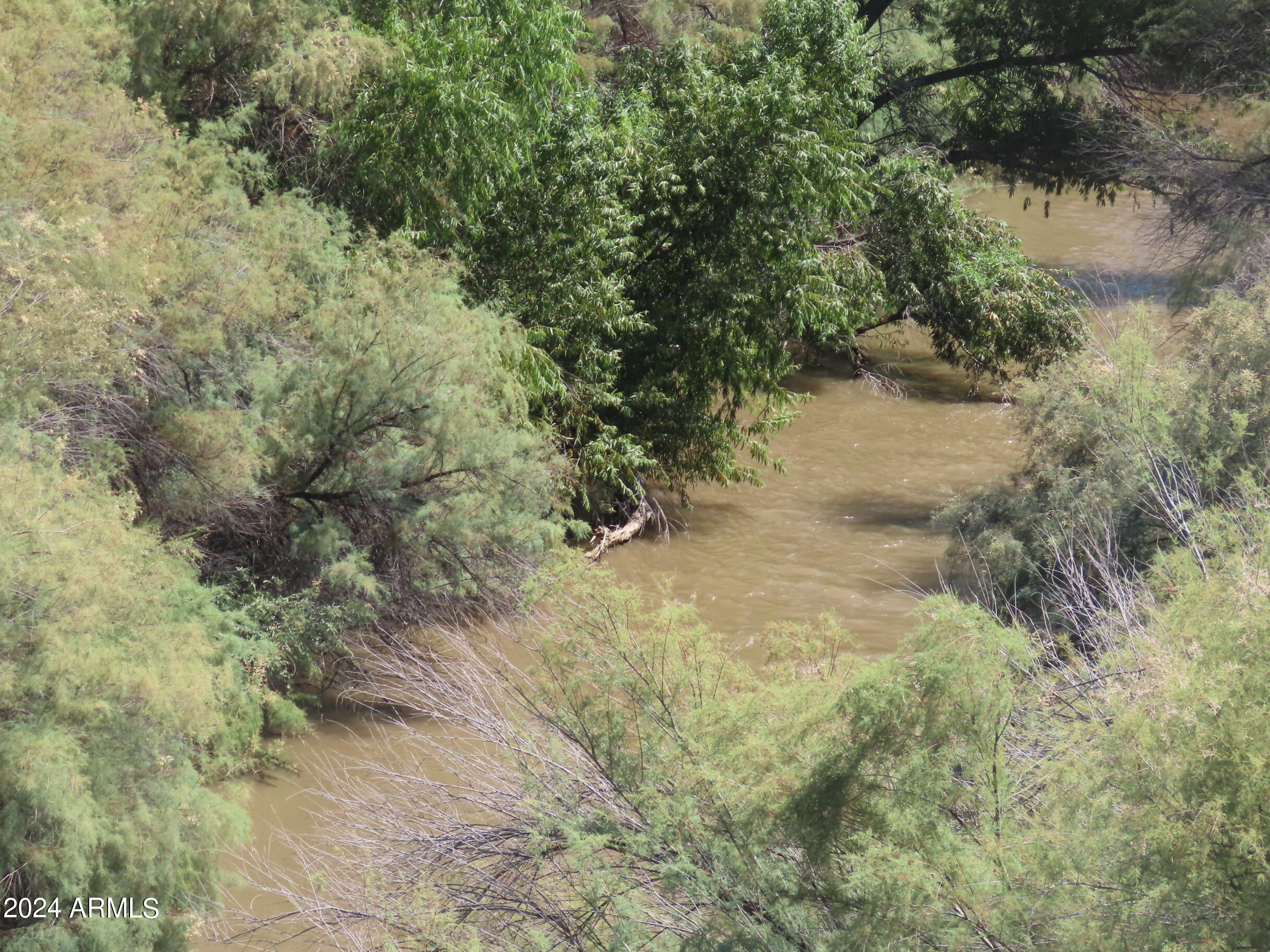 56120 East Riverside Road Kearny, AZ 85137 - Photo 24 of 28 a view of a forest with a tree