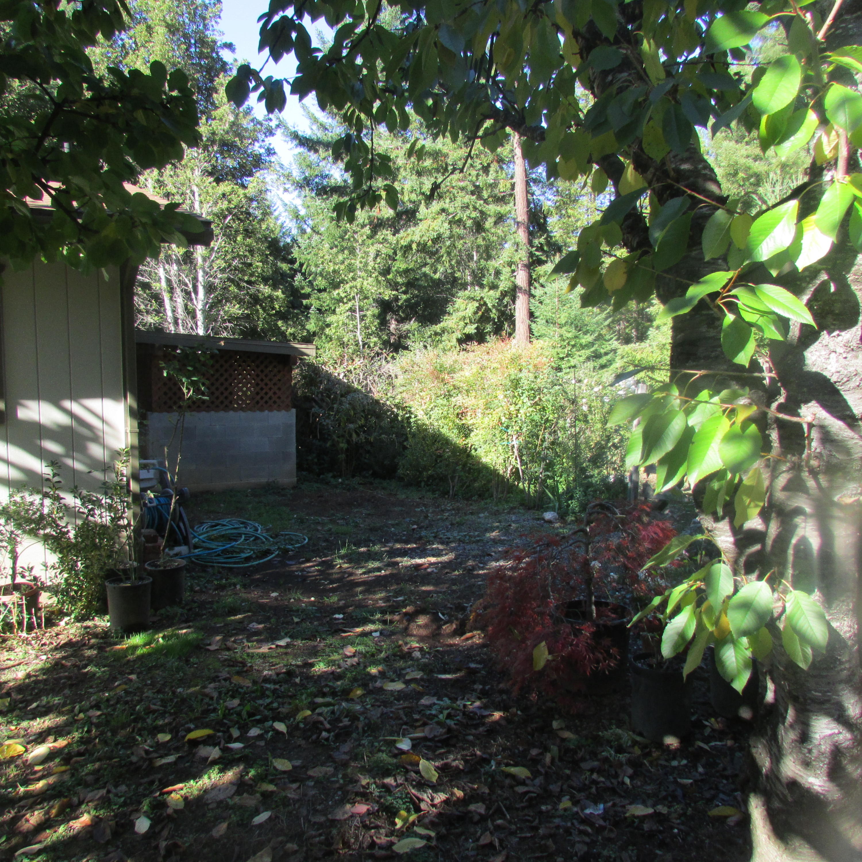 11395 Dyerville Loop Road Myers Flat, CA 95554 - Photo 19 of 25 Gallery Image 19