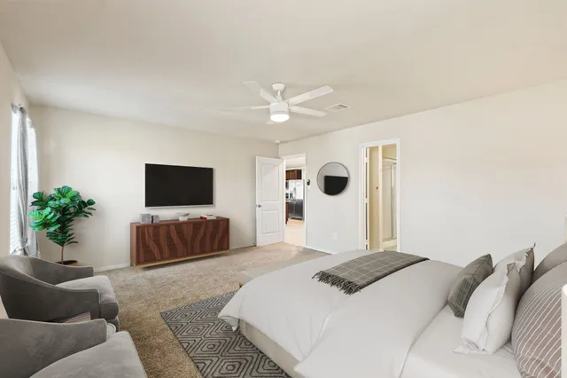 a spacious bedroom with a bed a couch and a potted plant on the dresser