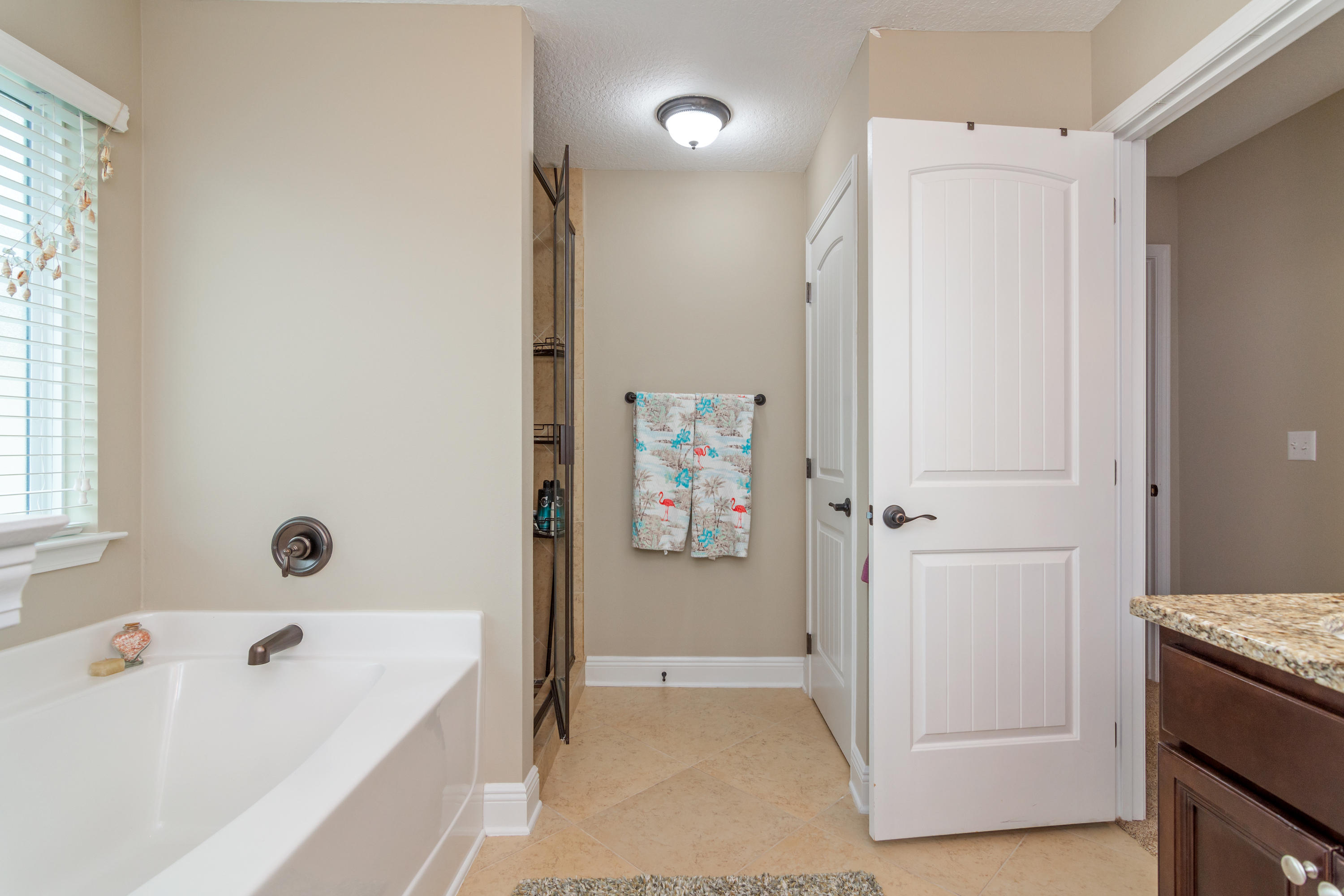 25 Hackberry Way Santa Rosa Beach, FL 32459 - Photo 24 of 44 MASTERBATHROOMVIEW3