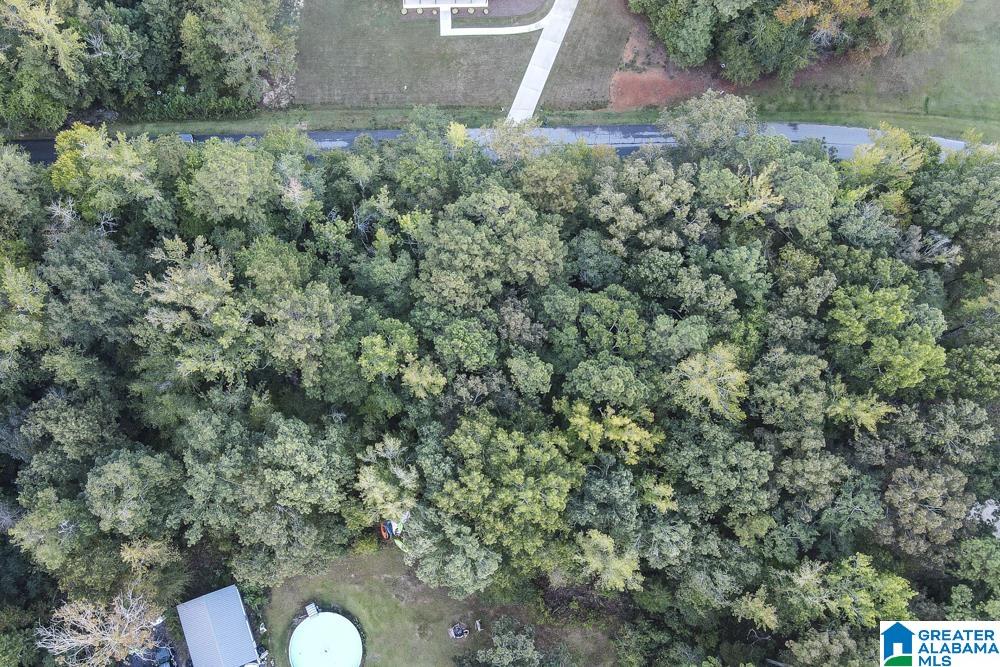 80 Forest Ridge Drive, Unit 22 Jacksonville, AL 36265 - Photo 7 of 9