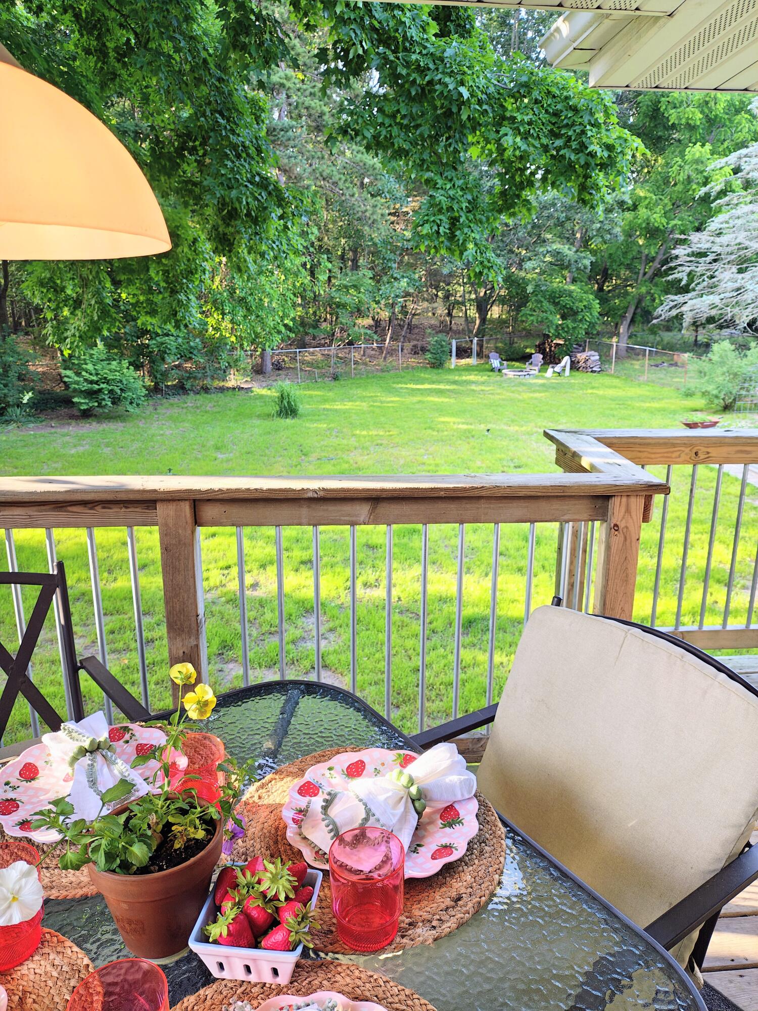 816 Benston Road Whitehall, MI 49461 - Photo 23 of 38 Backyard