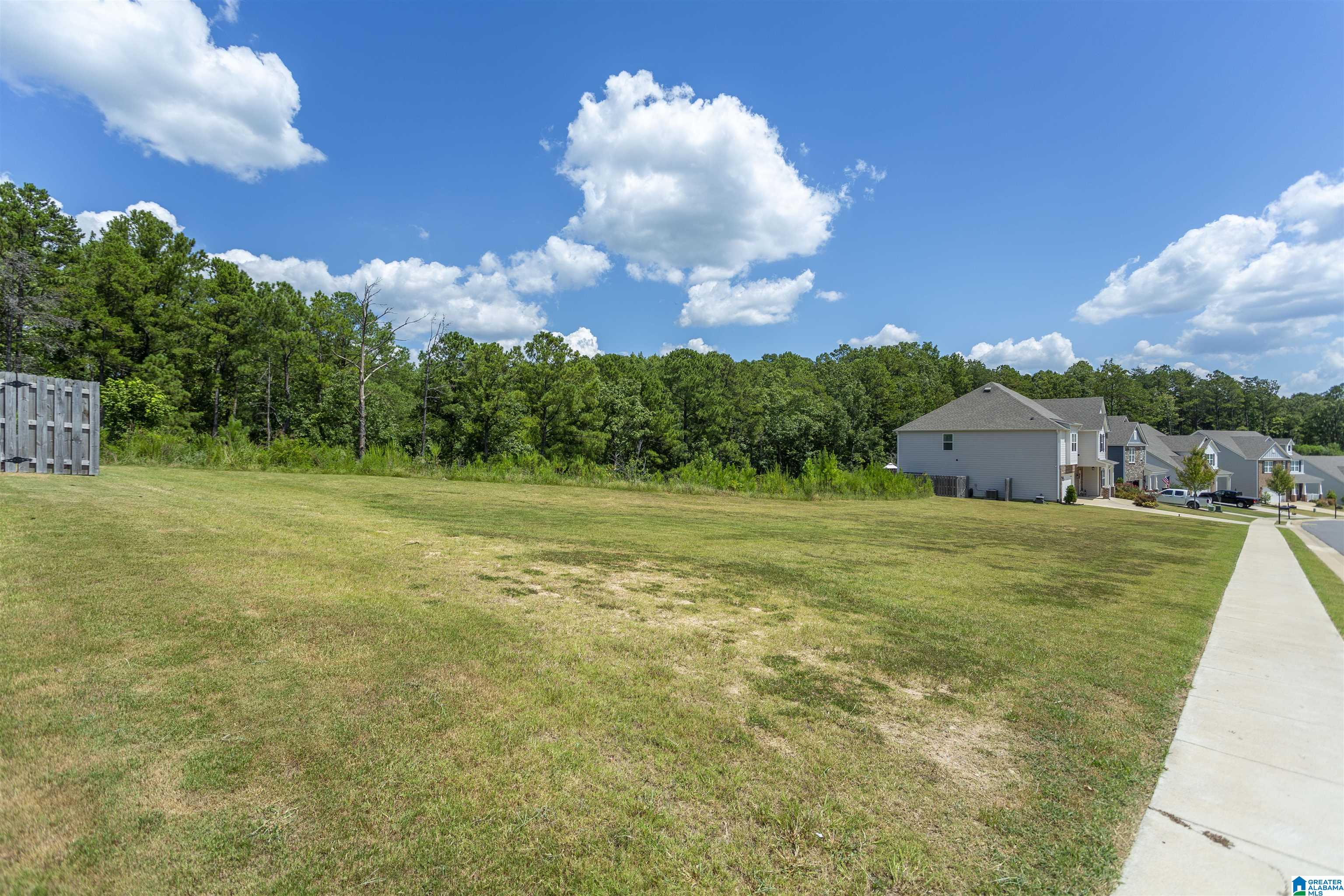 1180 Merion Drive Calera, AL 35040 - Photo 4 of 75