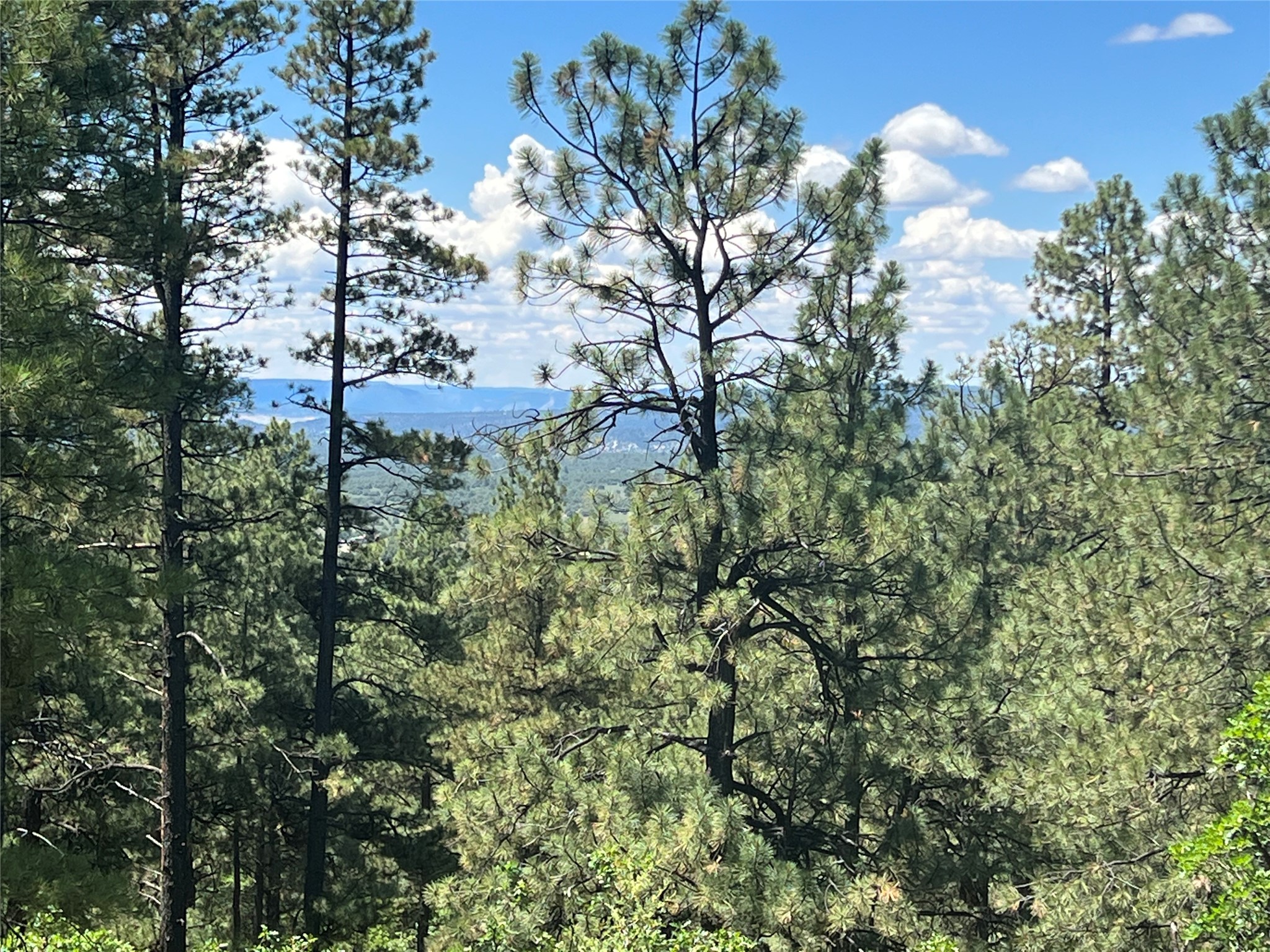 Tbd Tbd Crown Point Chama, NM 87520 - Photo 1 of 1