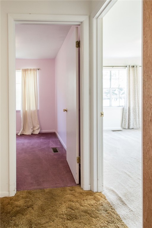 6499 Bailey Road Blackshear, GA 31516 - Photo 32 of 42