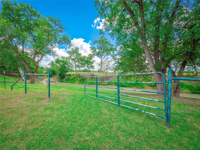 a view of a park with a large tree