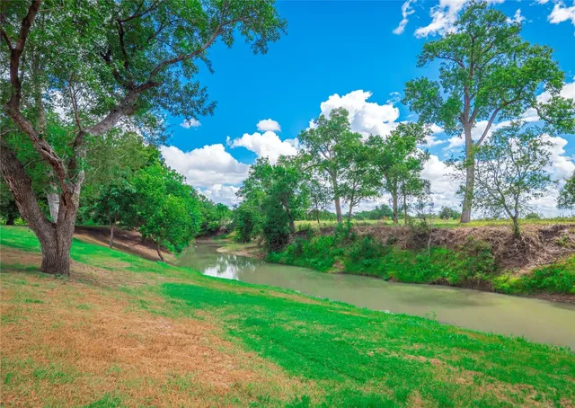 a view of a yard with large trees