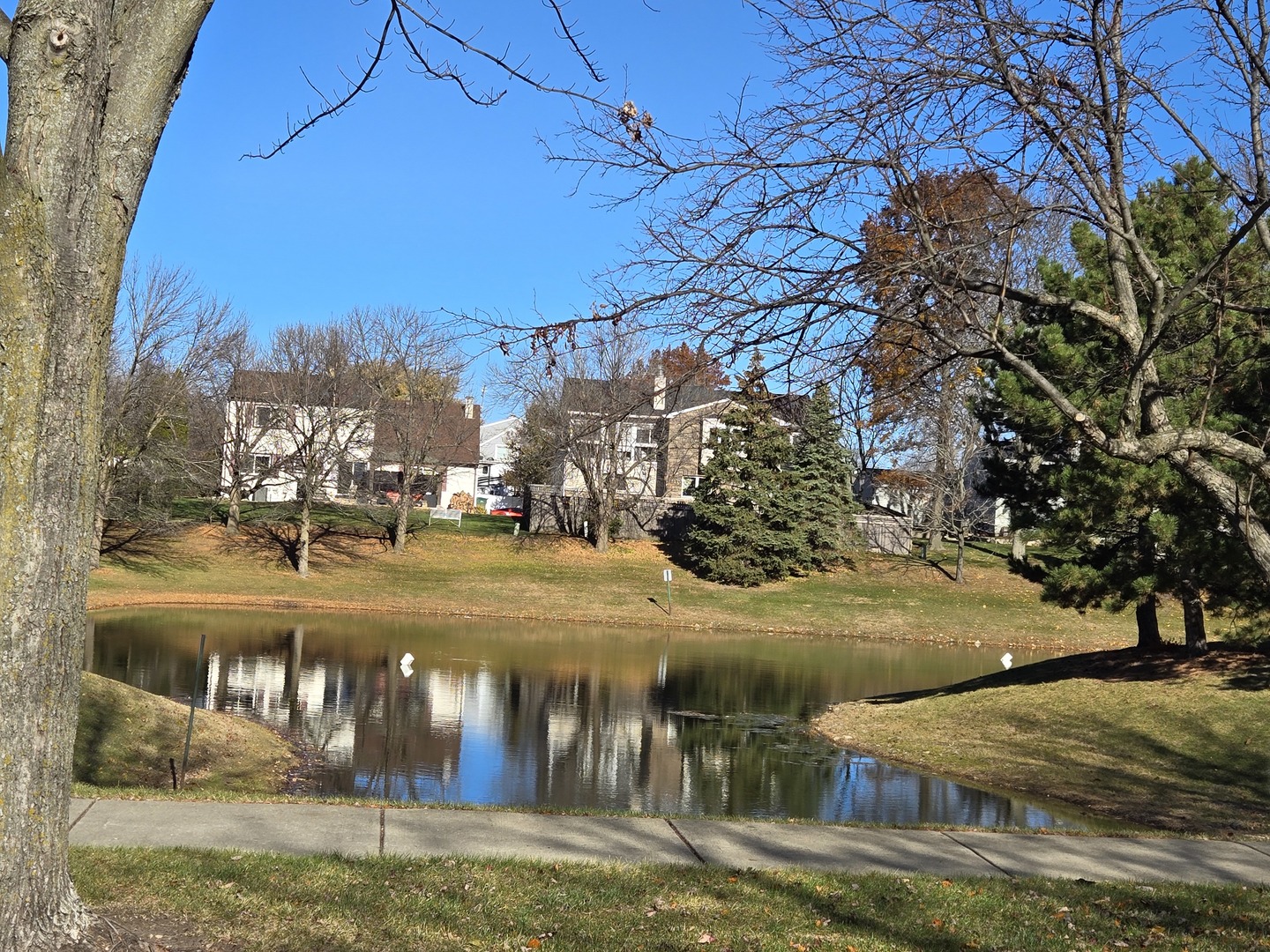 273 West 20th Street Lombard, IL 60148 - Photo 5 of 32 a view of a yard with an trees