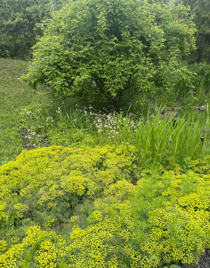 2705 Bentley Road Highland Park, IL 60035 - Photo 44 of 49