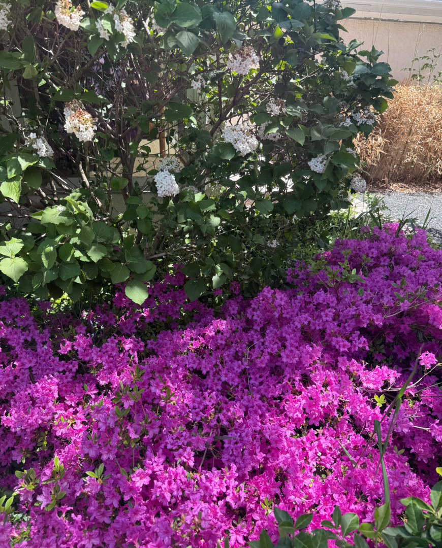 2705 Bentley Road Highland Park, IL 60035 - Photo 47 of 49