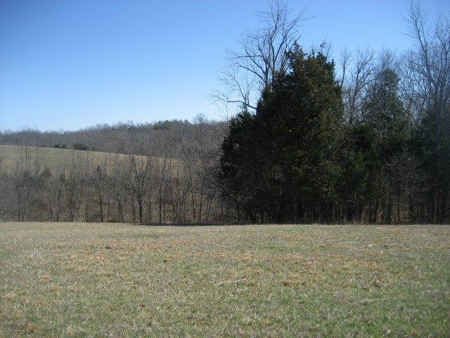 7890 Timber Creek Road Lawrenceburg, KY 40342 - Photo 12 of 23 Photo 12