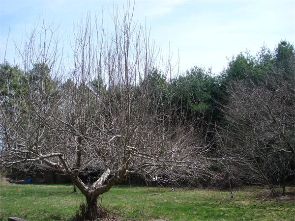 22 Flagg Swamp Road Freetown, MA 02717 - Photo 3 of 11 Gallery Image 3