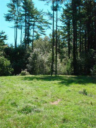 22 Flagg Swamp Road Freetown, MA 02717 - Photo 6 of 11 Gallery Image 6
