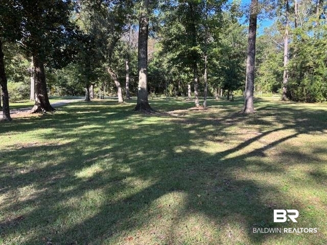 7310 Cook Road Foley, AL 36535 - Photo 7 of 14 View of green lawn with view of wooded area
