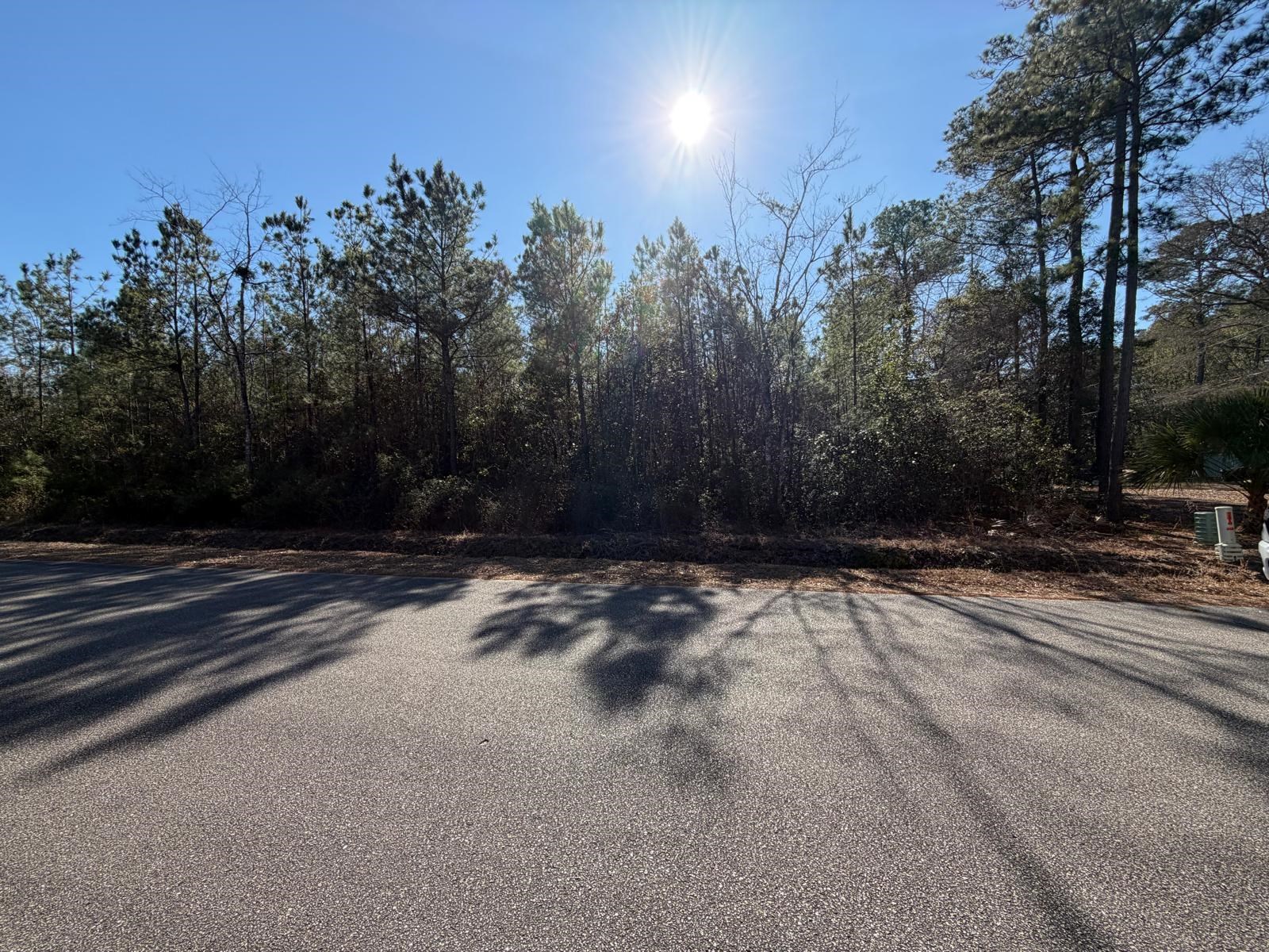 4950 Assembly Lane Myrtle Beach, SC 29588 - Photo 3 of 5 View of asphalt road
