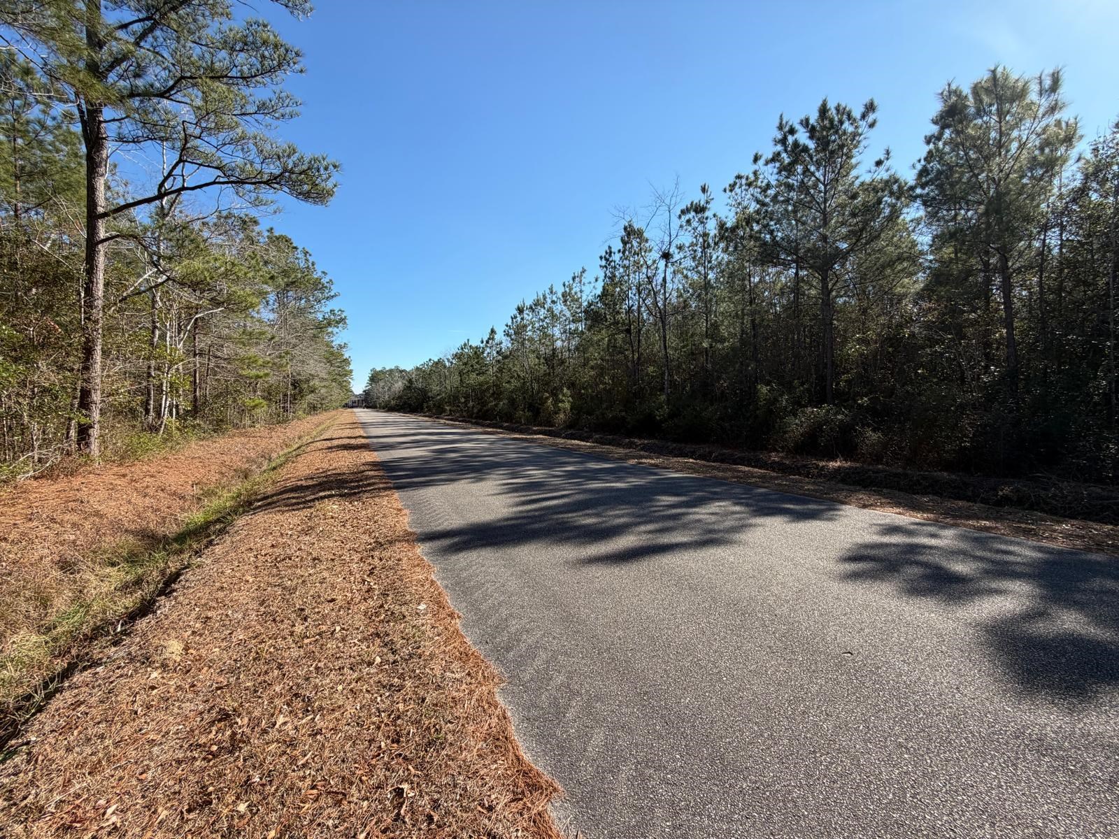 4950 Assembly Lane Myrtle Beach, SC 29588 - Photo 4 of 5 View of asphalt street with a forest view