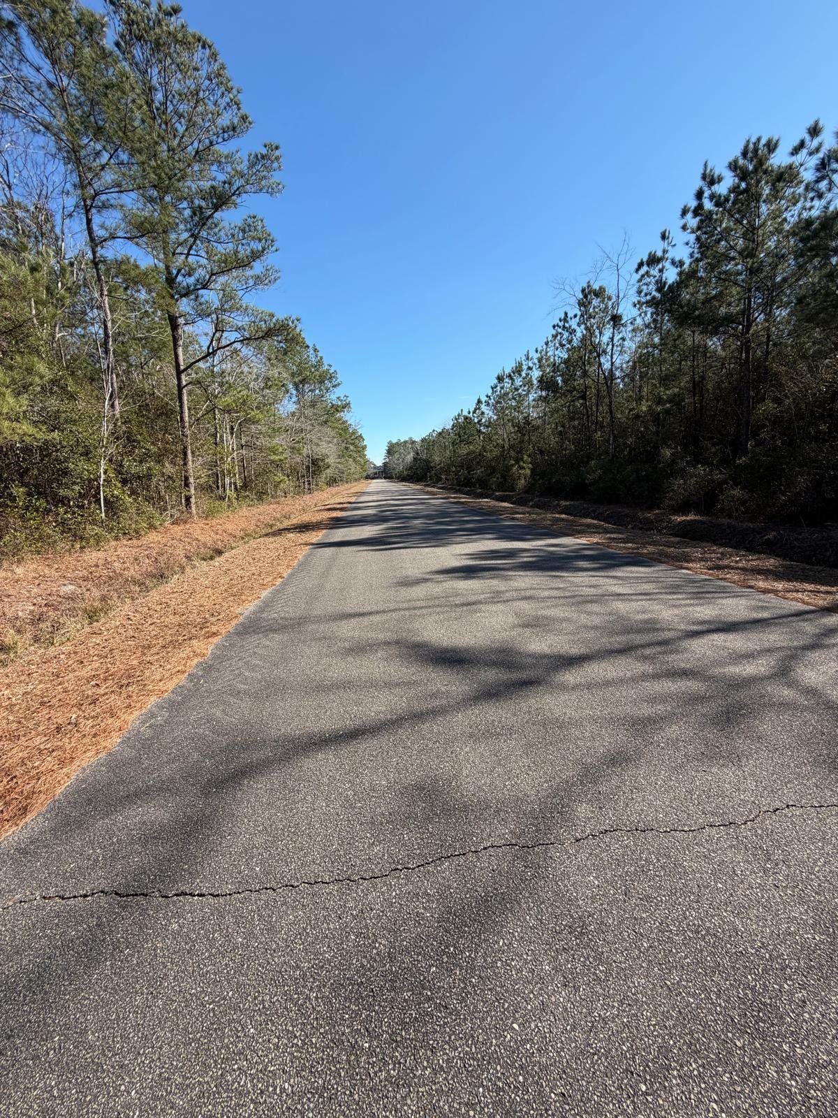 4950 Assembly Lane Myrtle Beach, SC 29588 - Photo 5 of 5 View of asphalt street