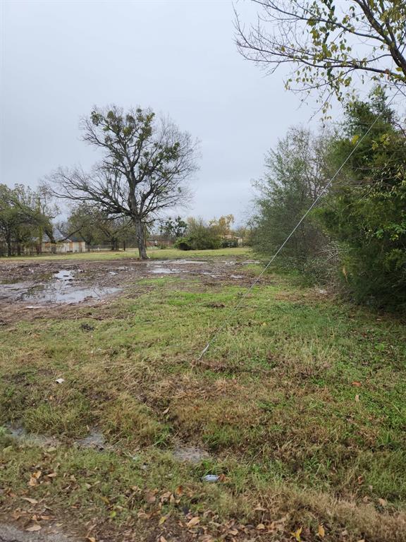 1001 South Medora Street Terrell, TX 75160 - Photo 3 of 5 Just rained 10 before picture