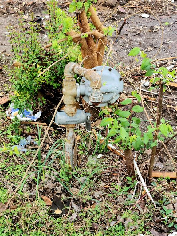 1001 South Medora Street Terrell, TX 75160 - Photo 4 of 5 Exterior view