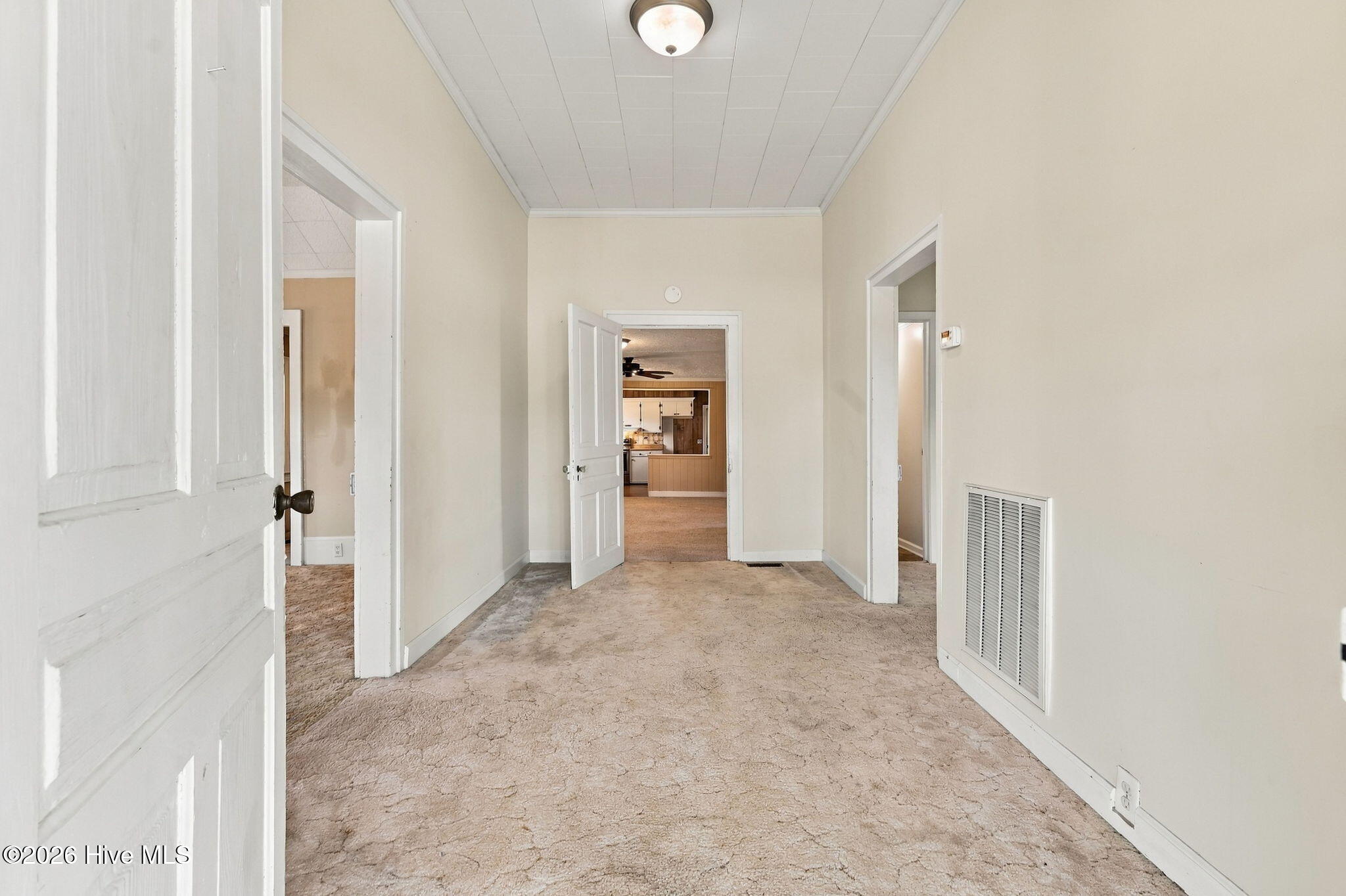 27-web-or-mls-AZ3A8045