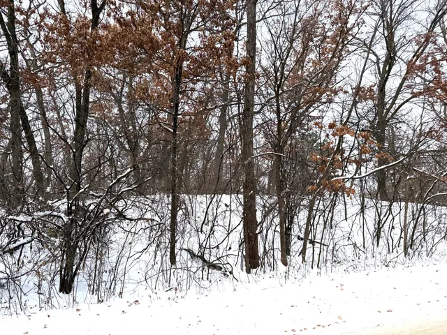 $109,900 | 371 Totem Road, St. Paul, MN 55119