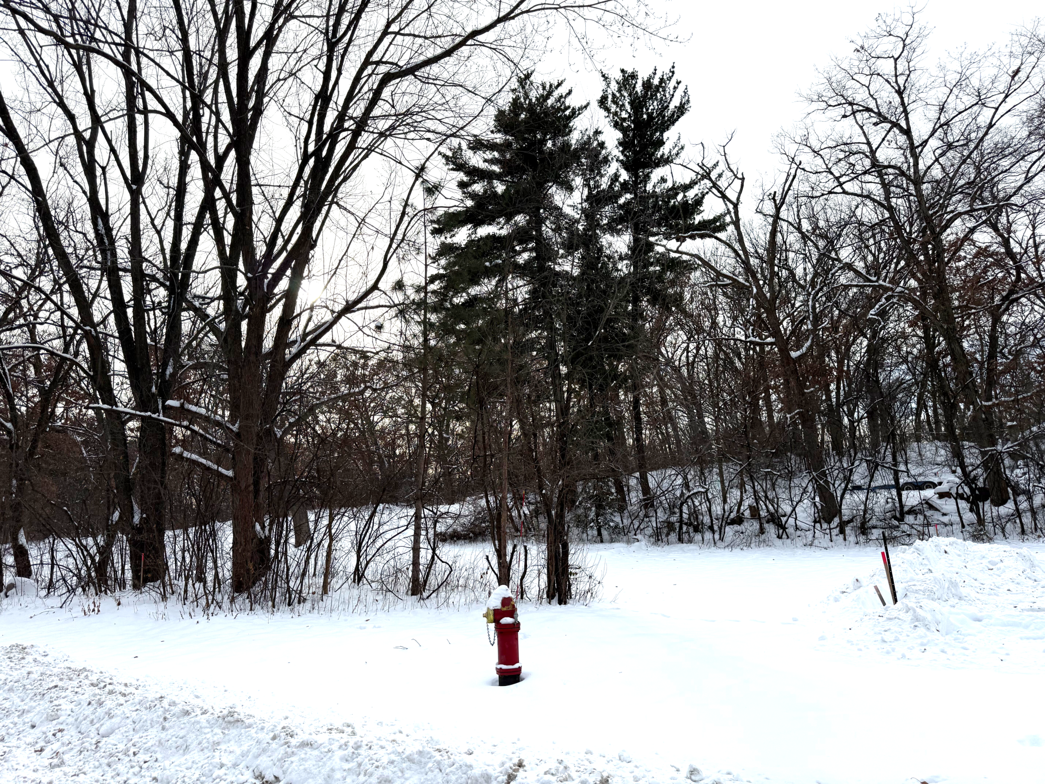 371 Totem Road St. Paul, MN 55119 - Photo 11 of 13